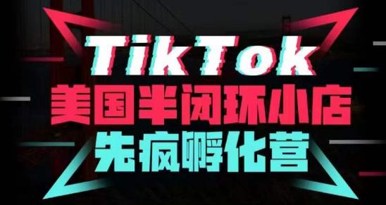 疯人院·TikTok美国半闭环小店孵化营，抢占TikTok美国蓝海市场，开店、运营、带货、投流全实操-副业城