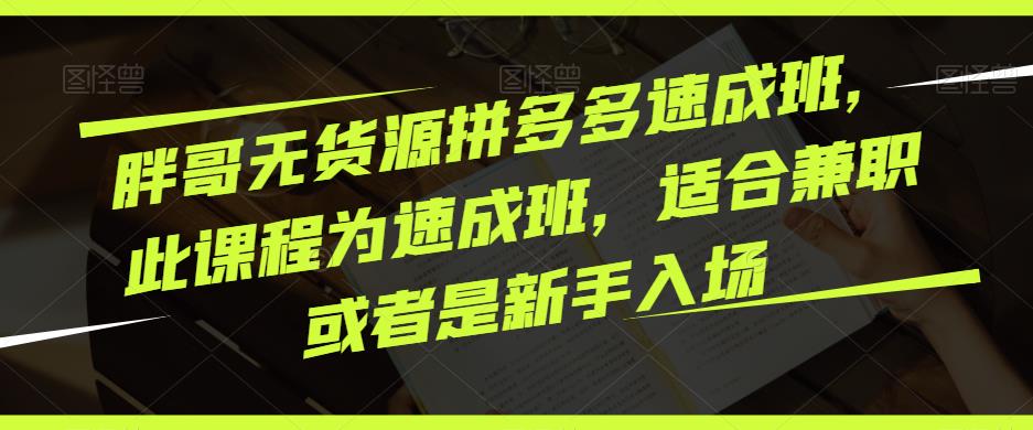 胖哥无货源拼多多速成班，此课程为速成班，适合兼职或者是新手入场-副业城