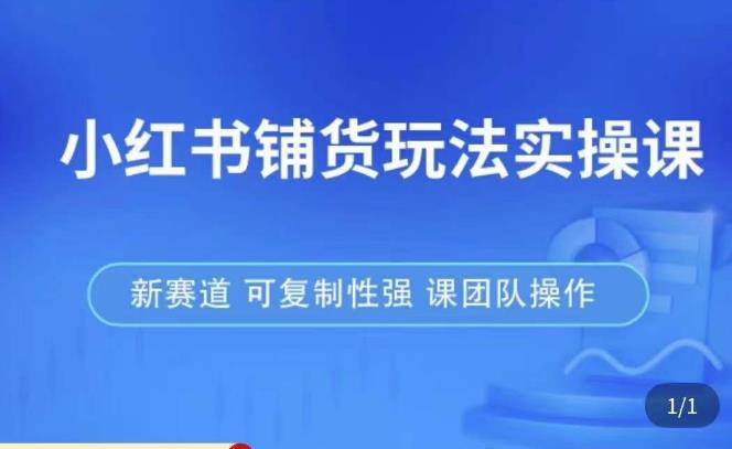 小红书铺货玩法实操课，流量大，竞争小，非常好做，新赛道，可复制性强，可团队操作-副业城