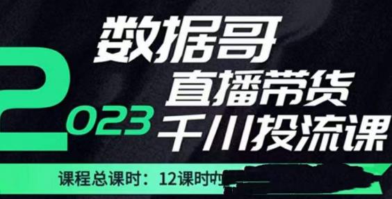 数据哥2023直播电商巨量千川付费投流实操课，快速掌握直播带货运营投放策略-副业城