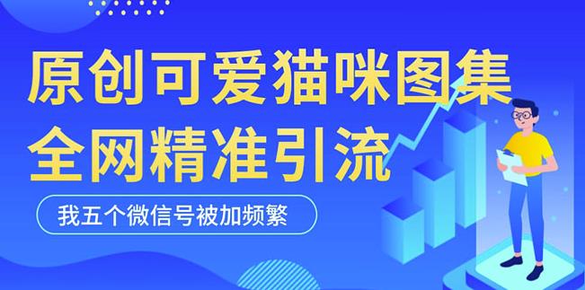 黑科技纯原创可爱猫咪图片，全网精准引流，实操5个VX号被加频繁-副业城