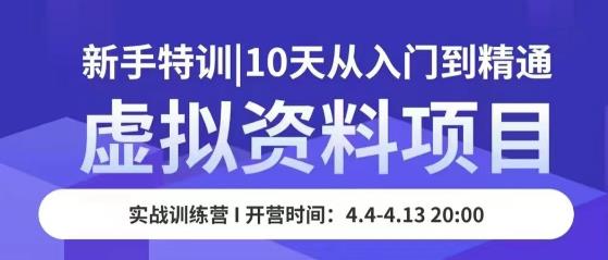 虚拟资料项目新手特训，10天从入门到精通，保姆级实操教学-副业城