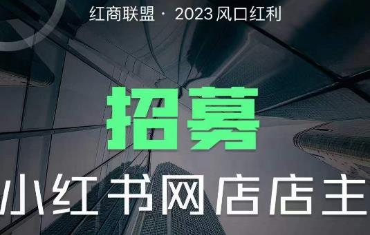 红商联盟·小红书无货源电商1.0，0粉丝无需囤货，小白也可以轻松上手的无货源项目-副业城