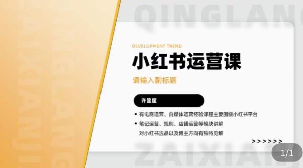 许筐筺·小红书运营课，​笔记运营、规则、店铺运营等模块讲解，学会自己独立运营小红书账号-副业城