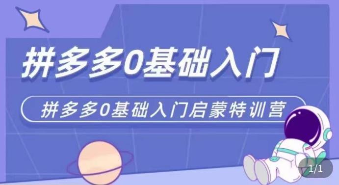 拼多多运营0-1实操特训营，拼多多0基础入门，从基础到进阶的可实操玩法-副业城