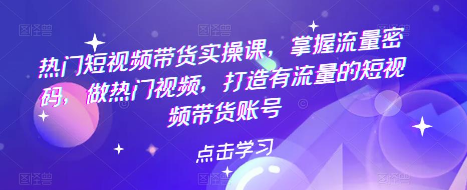 热门短视频带货实操课，掌握流量密码，做热门视频，打造有流量的短视频带货账号-副业城