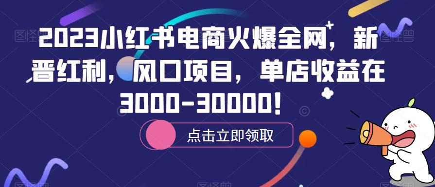 2023小红书电商火爆全网，新晋红利，风口项目，单店收益在3000-30000！-副业城