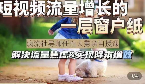 任性大舅·宠物行业短视频运营课(不讲废话)，短视频流量增长的一层窗户纸，解决流量焦虑&实现降本增效-副业城