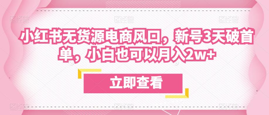 众狼电商余文小红书无货源电商风口，新号3天破首单，小白也可以月入2w+-副业城