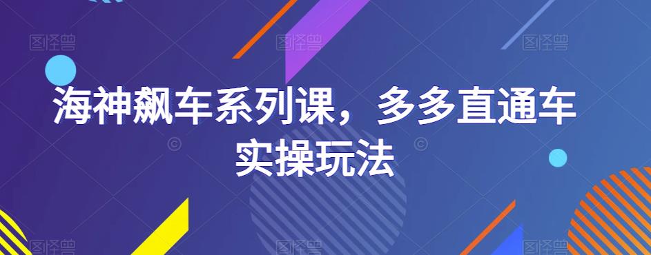 海神飙车系列课，多多直通车实操玩法-副业城