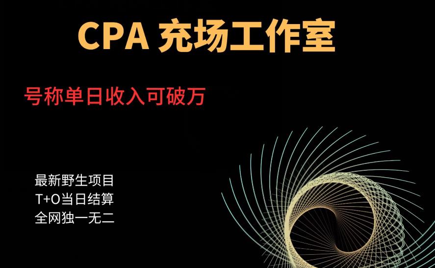 cpa充场工作室，号称单日收入10000+（揭秘）-副业城