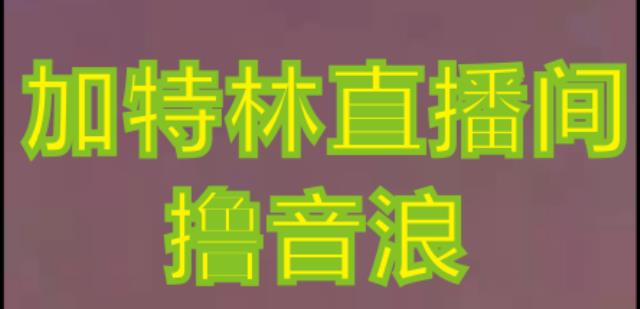 抖音加特林直播间搭建技术，抖音0粉开播，暴力撸音浪，2023新口子，每天800+【素材+详细教程】-副业城