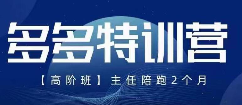 纪主任·5月最新多多特训营高阶班，玩法落地实操，多多全掌握-副业城