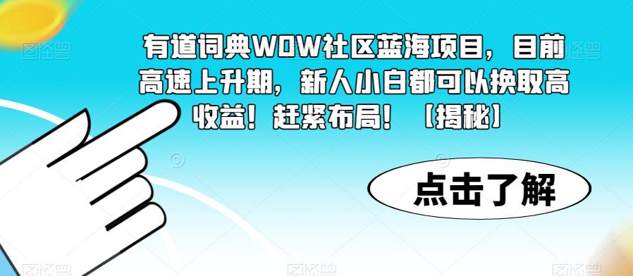有道词典WOW社区蓝海项目，目前高速上升期，新人小白都可以换取高收益！赶紧布局！【揭秘】-副业城