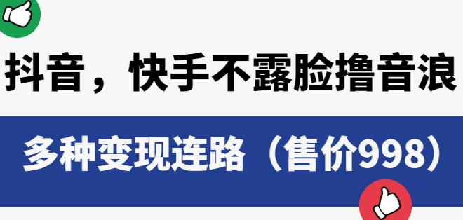 抖音快手不露脸撸音浪项目，多种变现连路（售价998）-副业城