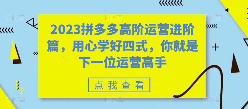 2023拼多多高阶运营进阶篇，用心学好四式，你就是下一位运营高手-副业城