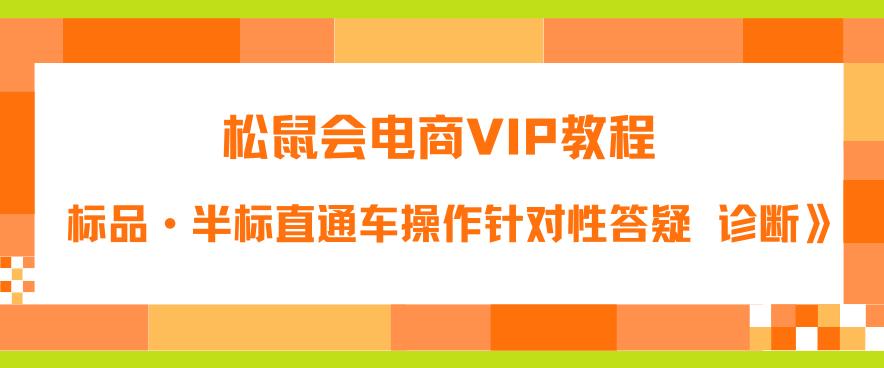 松鼠会电商VIP教程：松鼠《付费推广标品·半标直通车操作针对性答疑&诊断》-副业城