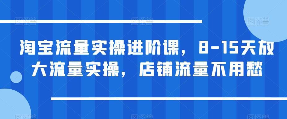 淘宝流量实操进阶课，8-15天放大流量实操，店铺流量不用愁-副业城