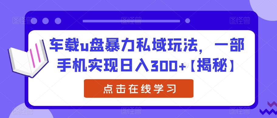 车载u盘暴力私域玩法，一部手机实现日入300+【揭秘】-副业城