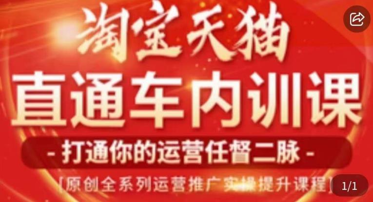 天问电商·2023淘宝天猫直通车内训课，零基础学起直通车运营实操课程-副业城