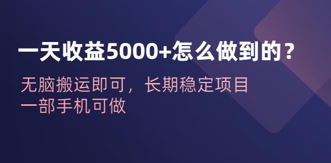 一天收益5000+怎么做到的？无脑搬运即可，长期稳定项目，一部手机可做【揭秘】-副业城