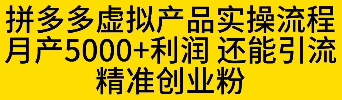 拼多多虚拟产品实操流程，月产5000+利润，还能引流精准创业粉【揭秘】-副业城