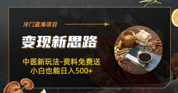 冷门蓝海项目-中医新玩法-资料免费送小白也能日入500+【揭秘】-副业城