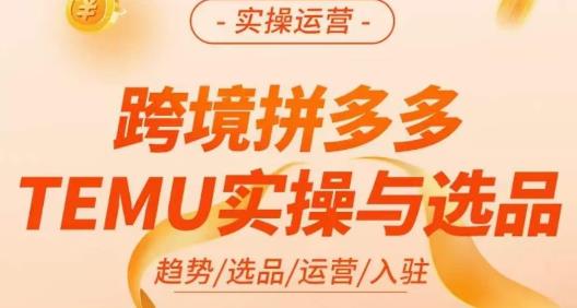 伍跃·跨境拼多多TEMU实操与选品，​趋势/选品/运营/入住（27节完整）-副业城