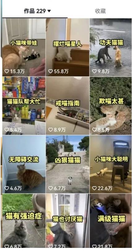图片[3]-拆解：抖音盘点类中视频变现副业项目，视频版一条龙大解析分享给你-副业城