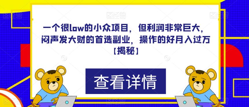 一个很low的小众项目，但利润非常巨大，闷声发大财的首选副业，操作的好月入过万【揭秘】-副业城