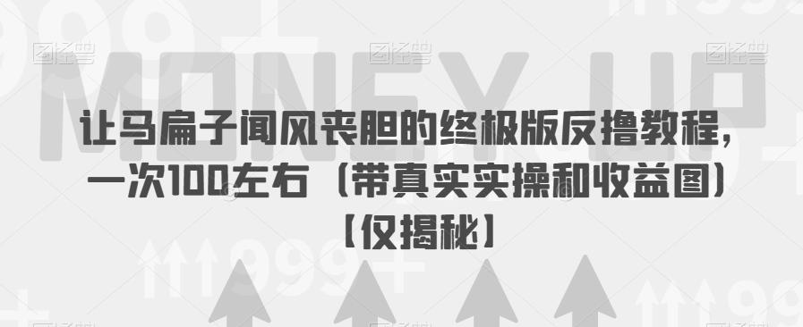 让马扁子闻风丧胆的终极版反撸教程，一次100左右（带真实实操和收益图）【仅揭秘】-副业城