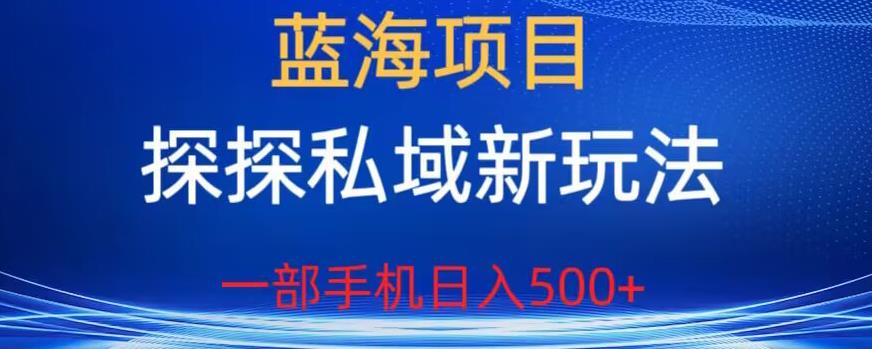 蓝海项目，探探私域新玩法，一部手机日入500+很轻松【揭秘】-副业城