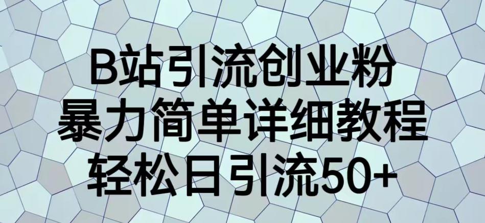 B站引流创业粉，暴力简单详细教程，轻松日引流50+【揭秘】-副业城