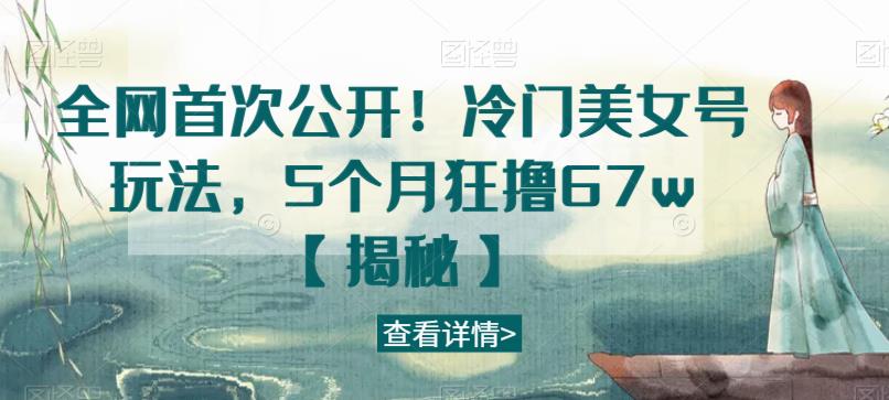 全网首次公开！冷门美女号玩法，5个月狂撸67w【揭秘】-副业城