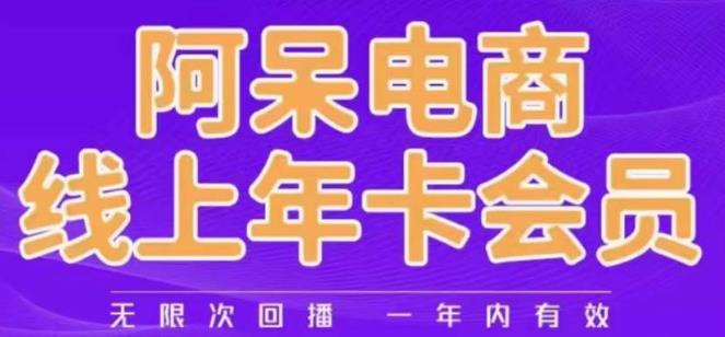 阿呆电商线上年会员，阿呆电商干货分享（更新中）-副业城