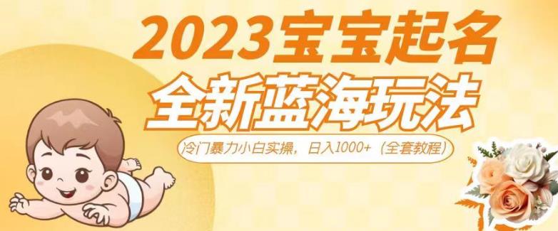 2023宝宝起名全新蓝海玩法，冷门暴力小白实操，日入1000+（全套教程）【揭秘】-副业城