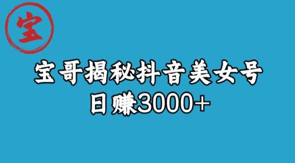 宝哥揭秘抖音美女号玩法，日赚3000+【揭秘】-副业城