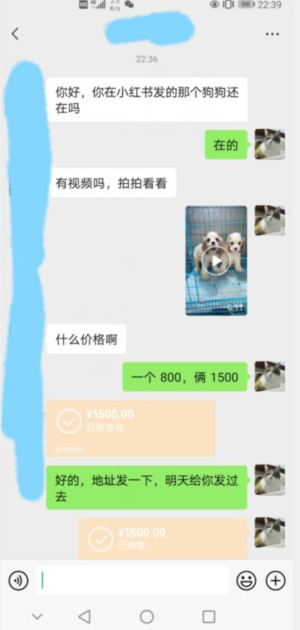 图片[2]-外边收费3980的同城萌宠项目，用最冷门的玩法冲击最热门的市场【揭秘】-副业城
