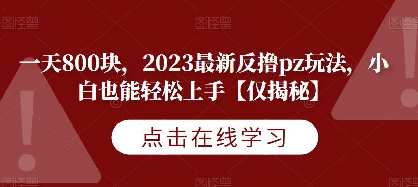 一天800块，2023最新反撸pz玩法，小白也能轻松上手【仅揭秘】-副业城