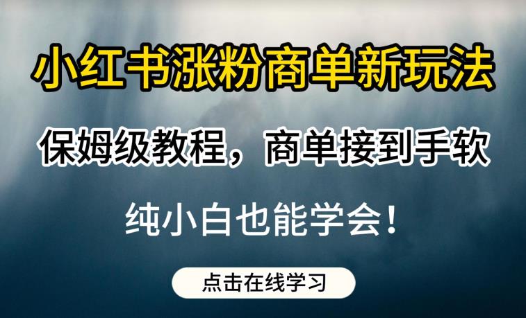 小红书涨粉商单新玩法，保姆级教程，商单接到手软，纯小白也能学会【揭秘】-副业城