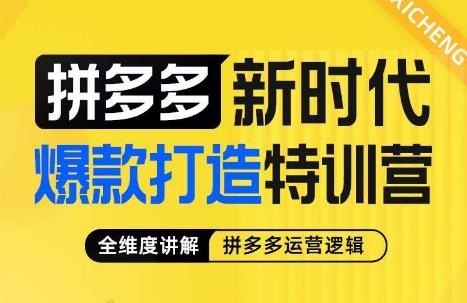 玺承·拼多多新时代爆款打造特训营，全维度讲解拼多多运营逻辑-副业城