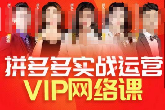 推易拼多多VIP全套直播课程，拼多多店铺实操玩法+实战玩法选款内功+直通车高阶等-副业城