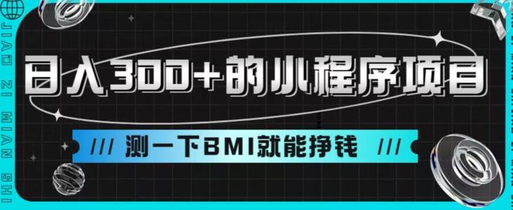 日入300+的小程序项目，测一下BMI就能挣钱【揭秘】-副业城