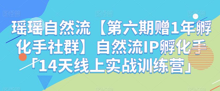 瑶瑶自然流【第六期赠1年孵化手社群】自然流IP孵化手「14天线上实战训练营」-副业城