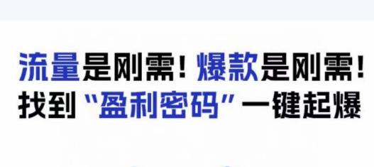 电商盈利精品课：6大盈利密码让产品更好卖，流量是刚需！爆款是刚需！找到”盈利密码”一键起爆-副业城