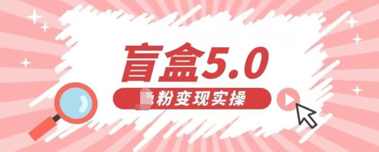 盲盒交友5.0，男粉变现实操项目，亲测变现效果极好【揭秘】-副业城