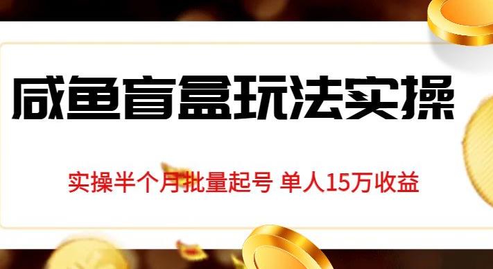 独家首发咸鱼盲盒玩法实操，半个月批量起号单人15万收益【揭秘】-副业城