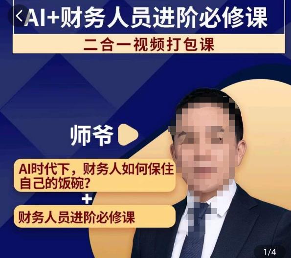 AI+财务人员进阶必修课二合一视频打包课，财务人员进阶必修课-副业城