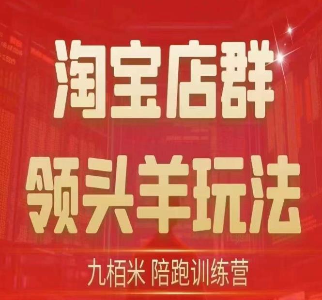 九栢米-淘宝店群领头羊玩法，教你整个淘宝店群领头羊玩法以及精细化/终极蓝海/尾销等内容-副业城