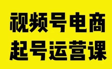 视频号电商起号运营课，教新人如何自然流起号，助力商家0-1突破-副业城